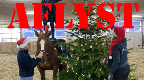 Juletræspyntning 2021